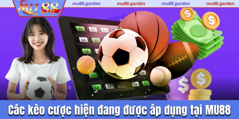 3 kèo cược hiện được áp dụng trong các sảnh thể thao