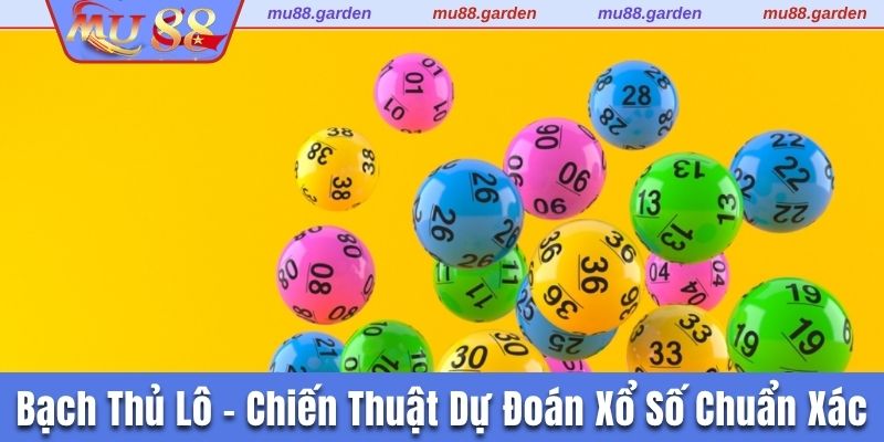 Bạch thủ lô