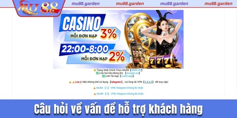 Câu hỏi về vấn đề hỗ trợ khách hàng