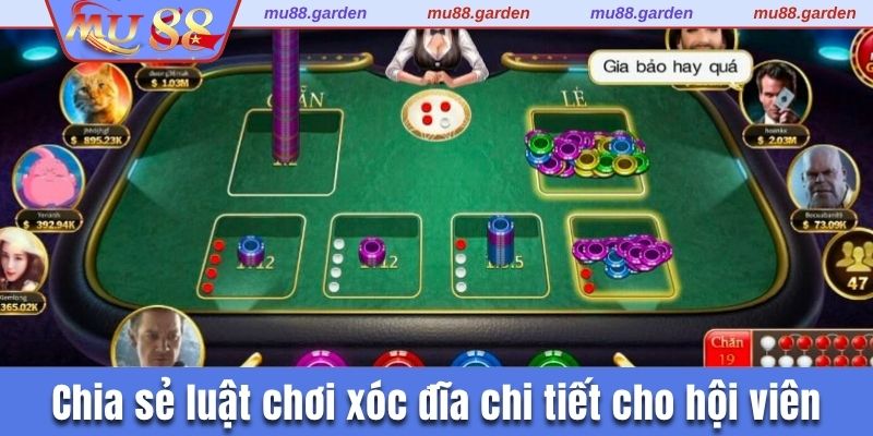 Chia sẻ luật chơi xóc đĩa chi tiết cho hội viên
