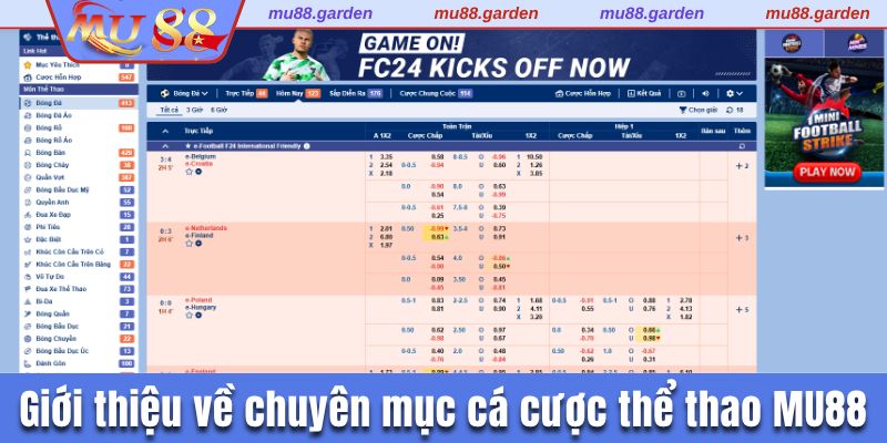 Giới thiệu về chuyên mục cá cược thể thao đặc sắc