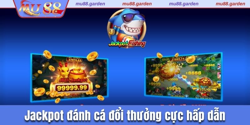 Jackpot đánh cá