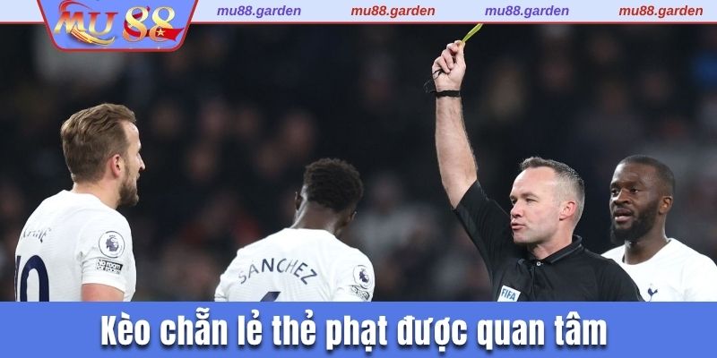 Kèo chẵn lẻ thẻ phạt được quan tâm