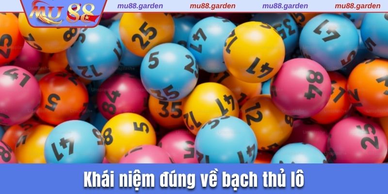 Khái niệm đúng về bạch thủ lô