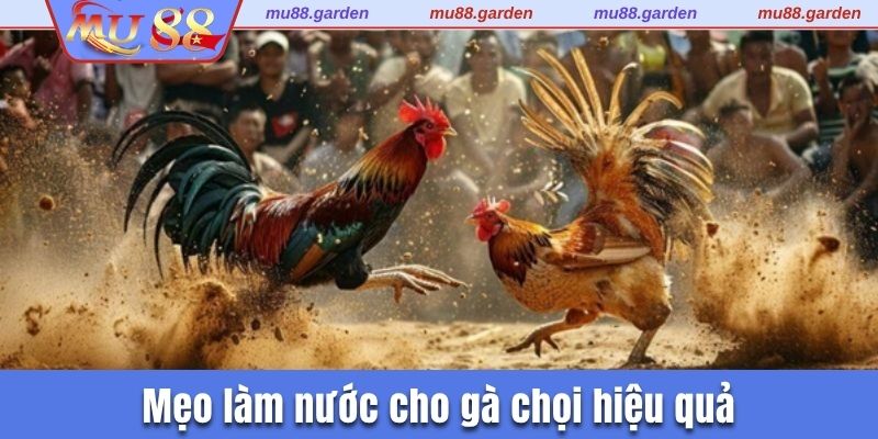 Kinh nghiệm làm nước đúng cách 