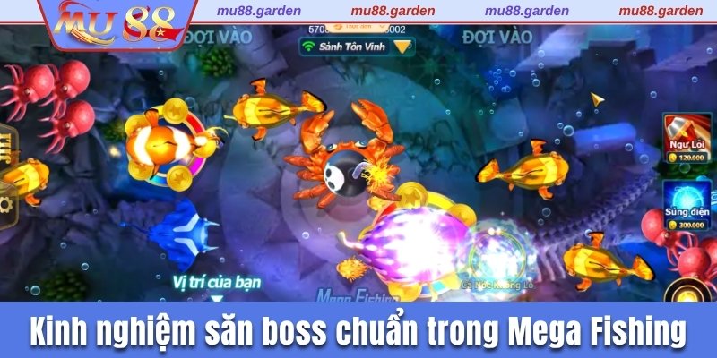 Kinh nghiệm săn boss chuẩn trong Mega Fishing