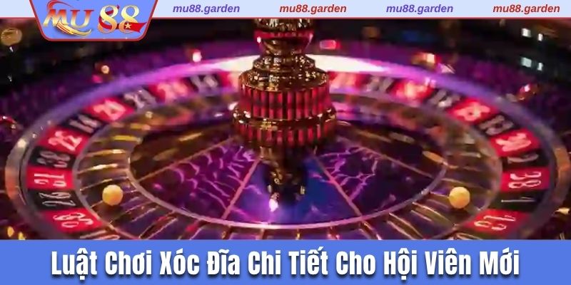 Luật chơi xóc đĩa