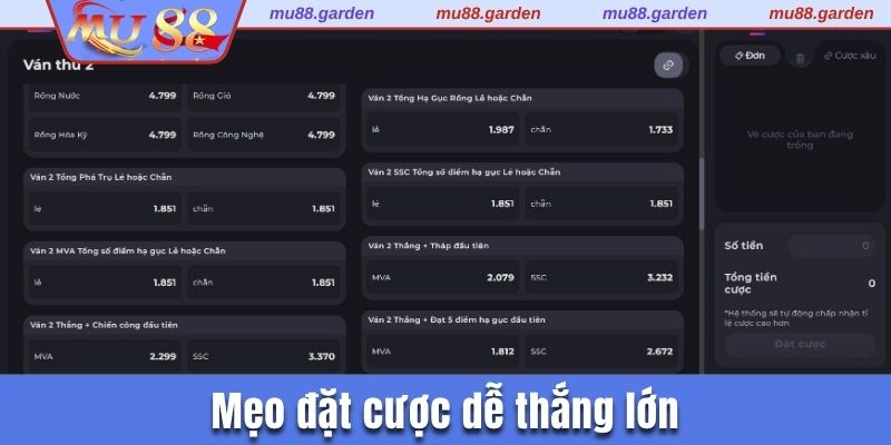 Mẹo đặt cược dễ thắng lớn