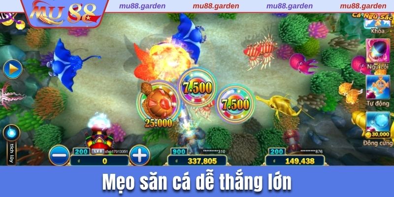 Mẹo đi săn dễ thắng lớn