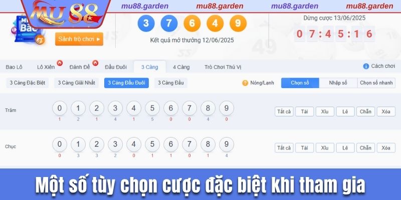 Một số tùy chọn cược đặc biệt khi tham gia