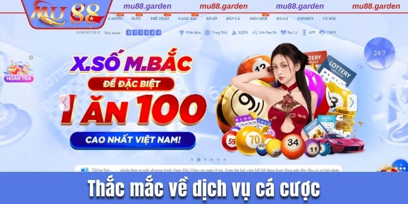 Thắc mắc về dịch vụ cá cược