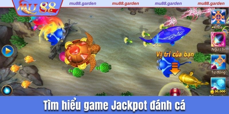 Tìm hiểu game Jackpot đánh cá