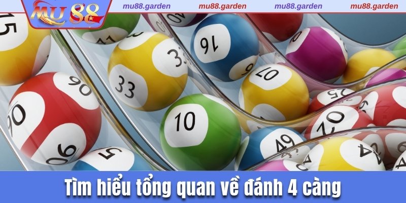 Tìm hiểu tổng quan về đánh 4 càng