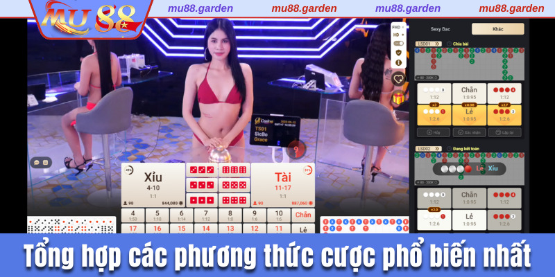 Tổng hợp các phương thức cược phổ biến nhất